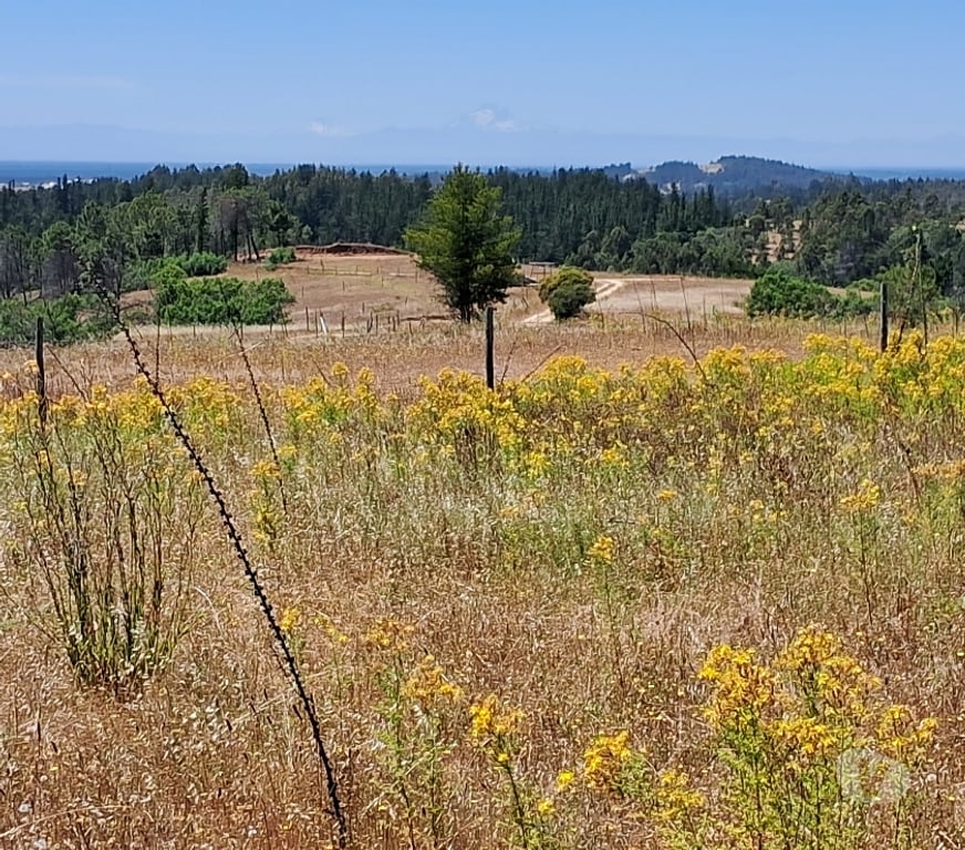 Parcelas en Venta Bío-Bío Yumbel - Fotos de VENTA DE PARCELA PROYECTO LOMAS DE QUENQUEHUE