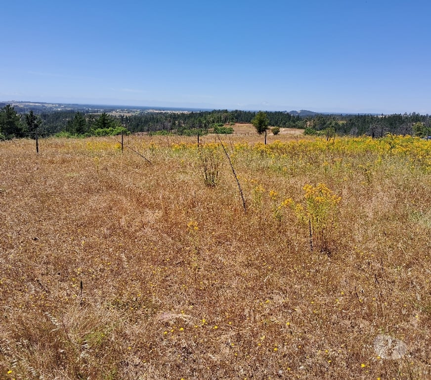 Parcelas en Venta Bío-Bío Yumbel - Fotos de VENTA DE PARCELA PROYECTO LOMAS DE QUENQUEHUE