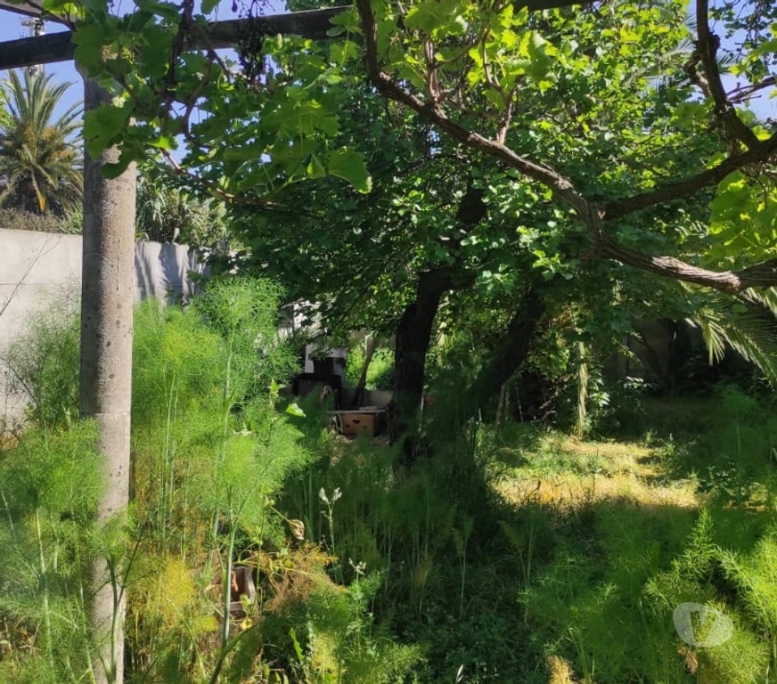 Bienes Raices Valparaíso Villa Alemana - Fotos de CASA INDEPENDIENTE VILLA ALEMANA