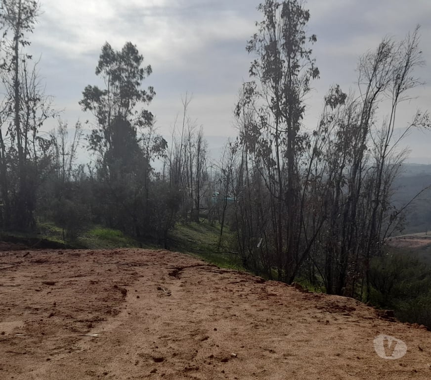 Parcelas en Venta Valparaíso Quilpué - Fotos de PARCELA CON ROL PROPIO LINDA VISTA