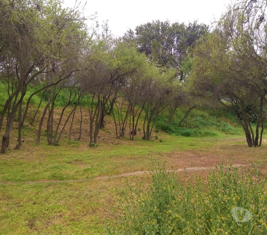Parcelas en Venta Valparaíso Quilpué - Fotos de PARCELA EN CONDOMONIO SANTA MARIA DE LOS QUILLAYES