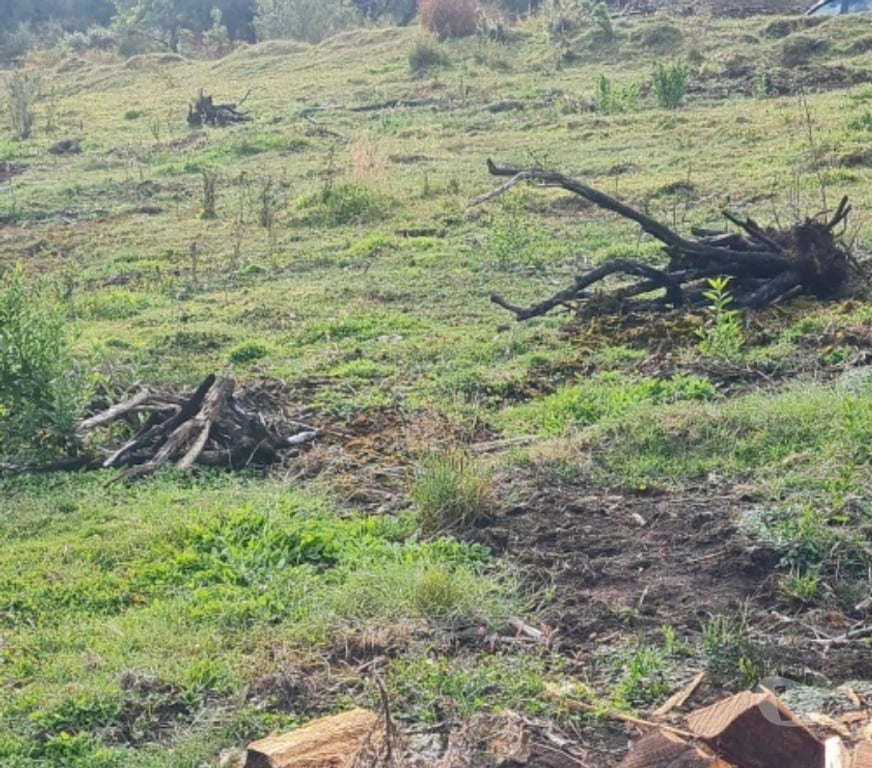 Parcelas en Venta Chiloé Castro - Fotos de CHILOE CHILOE VENTA TERRVENTA TERRENOS DESDE 10.000 MTS