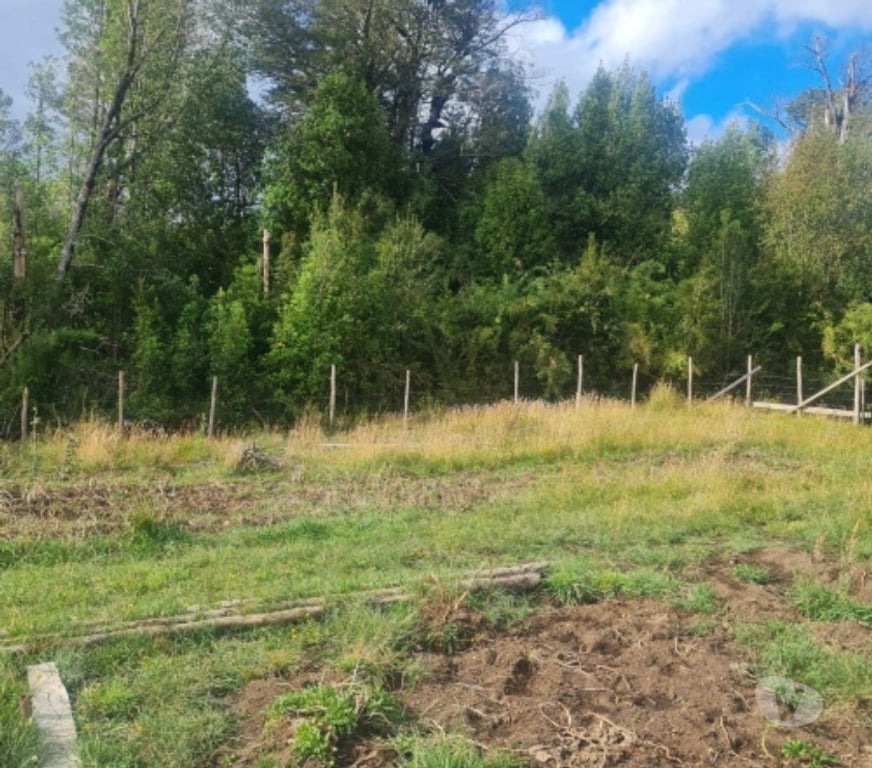 Parcelas en Venta Chiloé Castro - Fotos de CHILOE CHILOE VENTA TERRVENTA TERRENOS DESDE 10.000 MTS