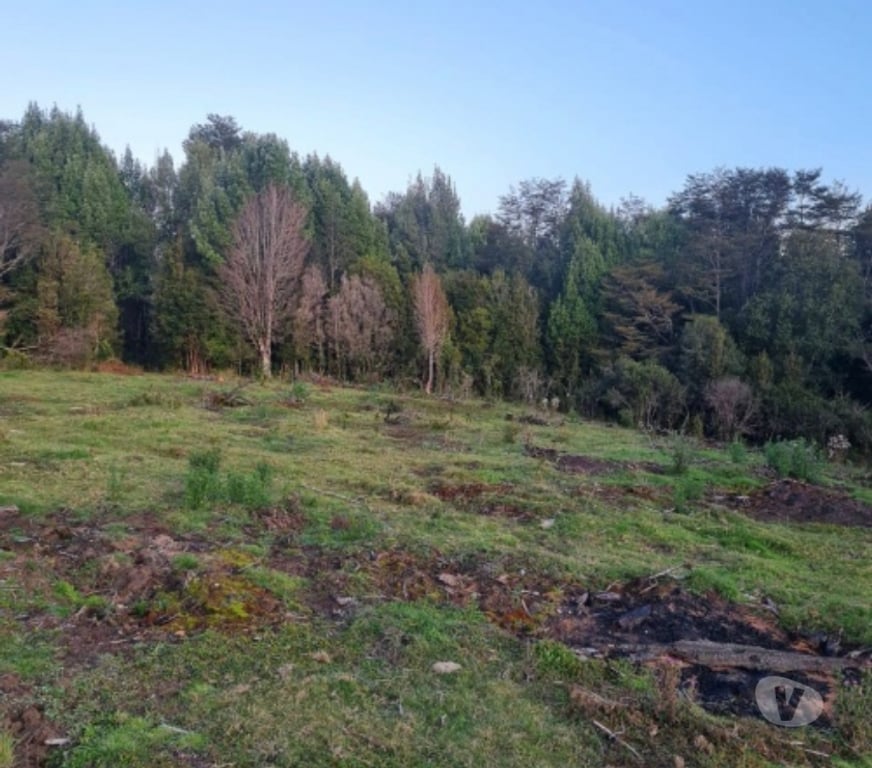 Parcelas en Venta Chiloé Castro - Fotos de CHILOE CHILOE VENTA TERRVENTA TERRENOS DESDE 10.000 MTS
