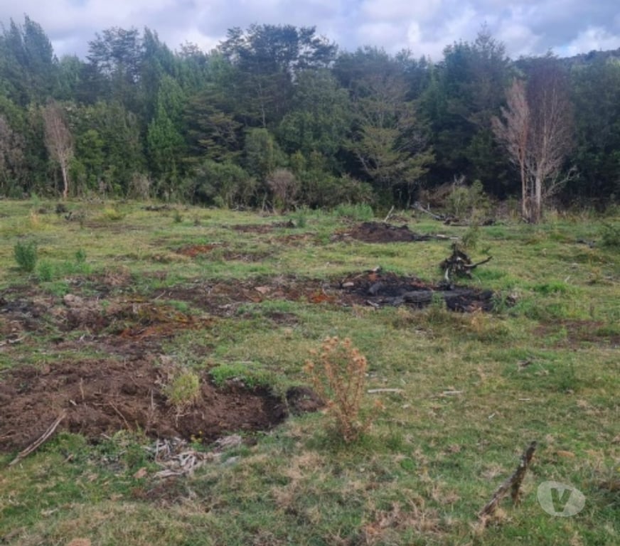 Parcelas en Venta Chiloé Castro - Fotos de CHILOE CHILOE VENTA TERRVENTA TERRENOS DESDE 10.000 MTS