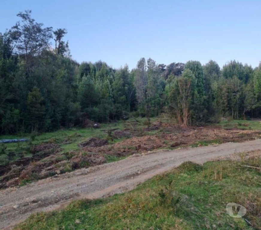 Parcelas en Venta Chiloé Castro - Fotos de CHILOE CHILOE VENTA TERRVENTA TERRENOS DESDE 10.000 MTS