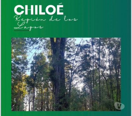 Parcelas Castro Chiloé - Fotos de CHILOE CHILOE VENTA TERRVENTA TERRENOS DESDE 10.000 MTS