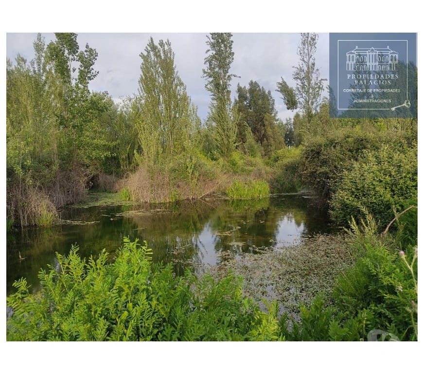 Parcelas en Venta Cachapoal Coínc - Fotos de Hermosas parcelas de agrado insertas en la Naturaleza Coinco