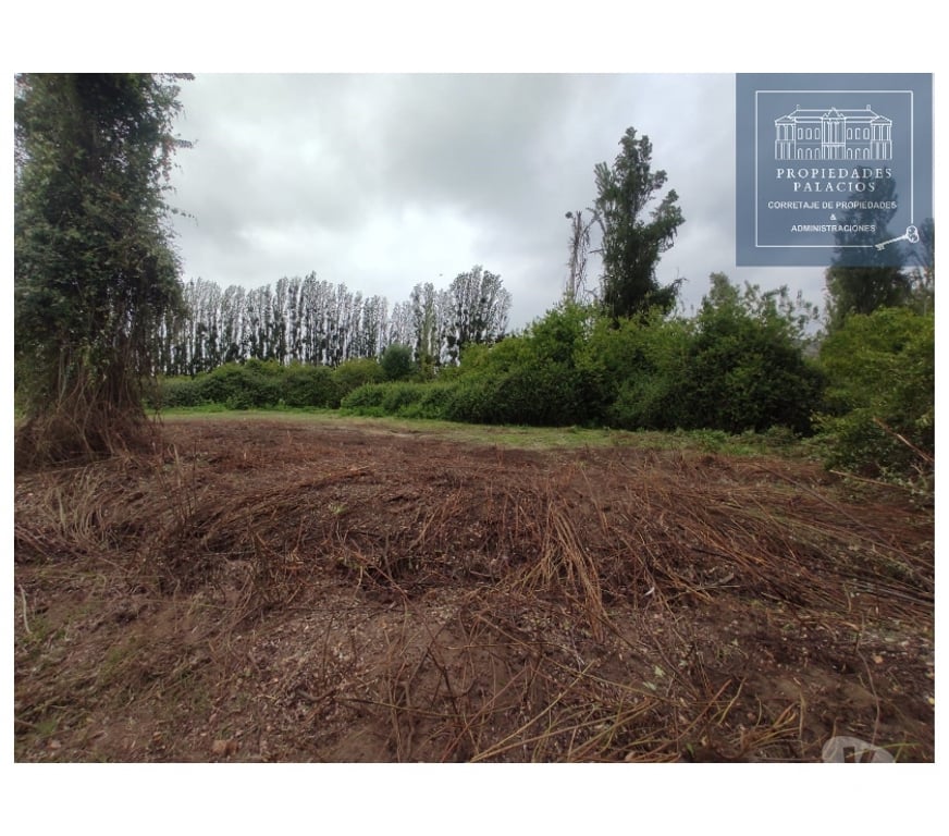 Parcelas en Venta Cachapoal Coínc - Fotos de Hermosas parcelas de agrado insertas en la Naturaleza Coinco