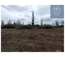 Hermosas parcelas de agrado insertas en la Naturaleza Coinco