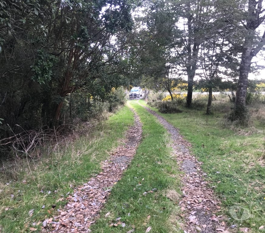 Venta de Haciendas Chiloé Ancud - Fotos de Espectacular Campito 11 has, 1.000 orilla de río