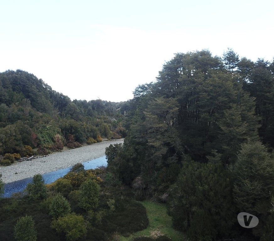 Venta de Haciendas Chiloé Ancud - Fotos de Espectacular Campito 11 has, 1.000 orilla de río