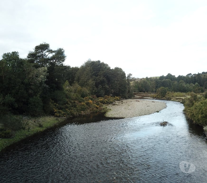 Venta de Haciendas Chiloé Ancud - Fotos de Espectacular Campito 11 has, 1.000 orilla de río