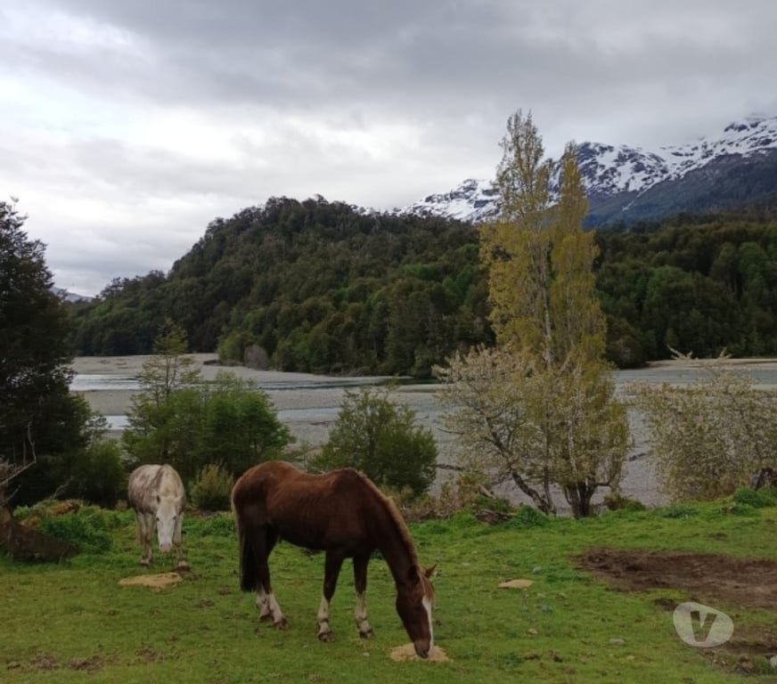 Parcelas en Venta Coihaique Coihaique - Fotos de COYHAIQUE VENTA TERRENO 12.000 MTS2 BAHIA MURTA