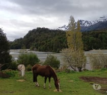 Fotos de COYHAIQUE VENTA TERRENO 12.000 MTS2 BAHIA MURTA