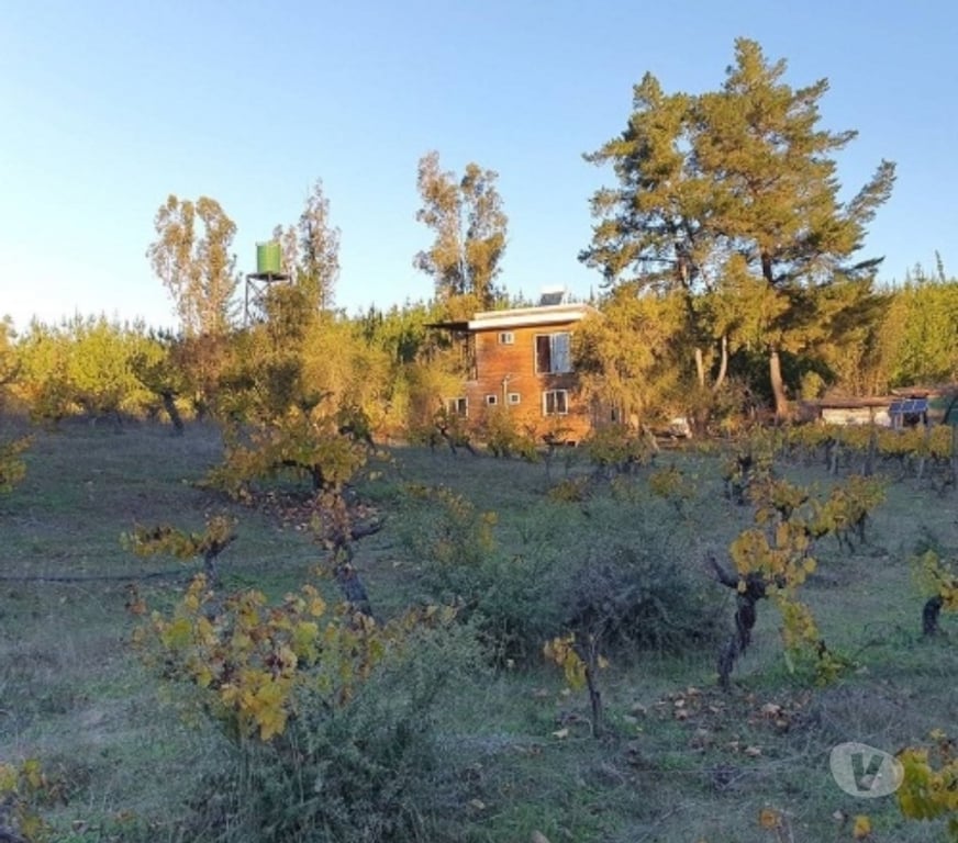 Parcelas en Venta Talca Curepto - Fotos de CUREPTO VENTA PARCELA 50.000 MTS2 CASA 4D 4B GUALLECO