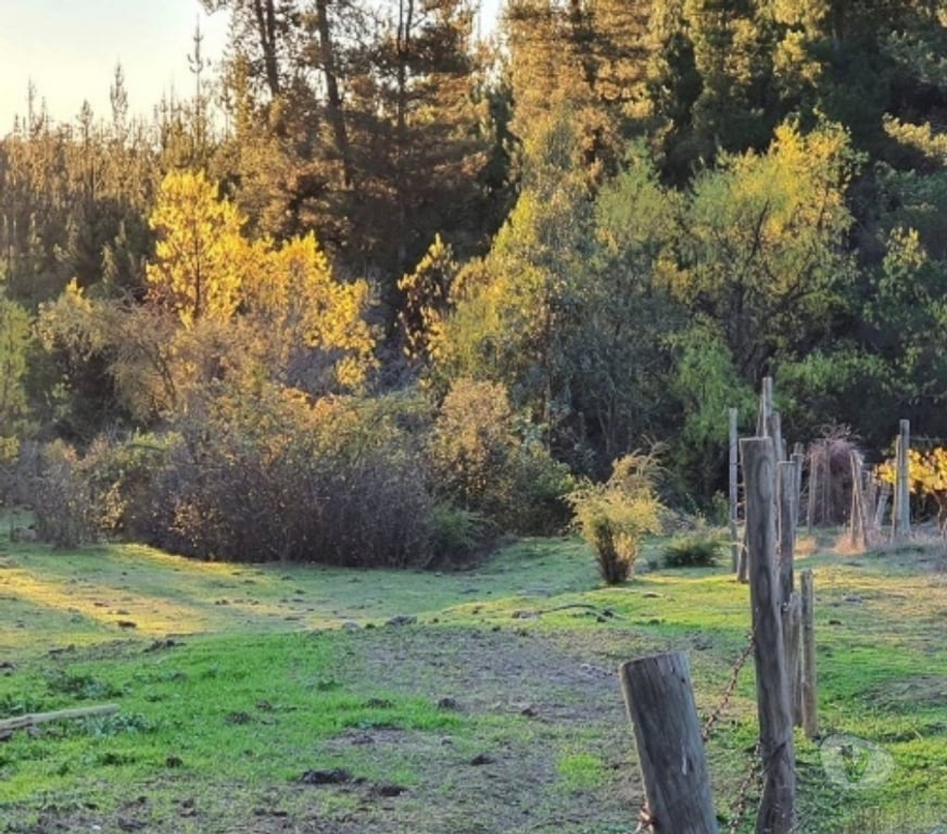 Parcelas en Venta Talca Curepto - Fotos de CUREPTO VENTA PARCELA 50.000 MTS2 CASA 4D 4B GUALLECO