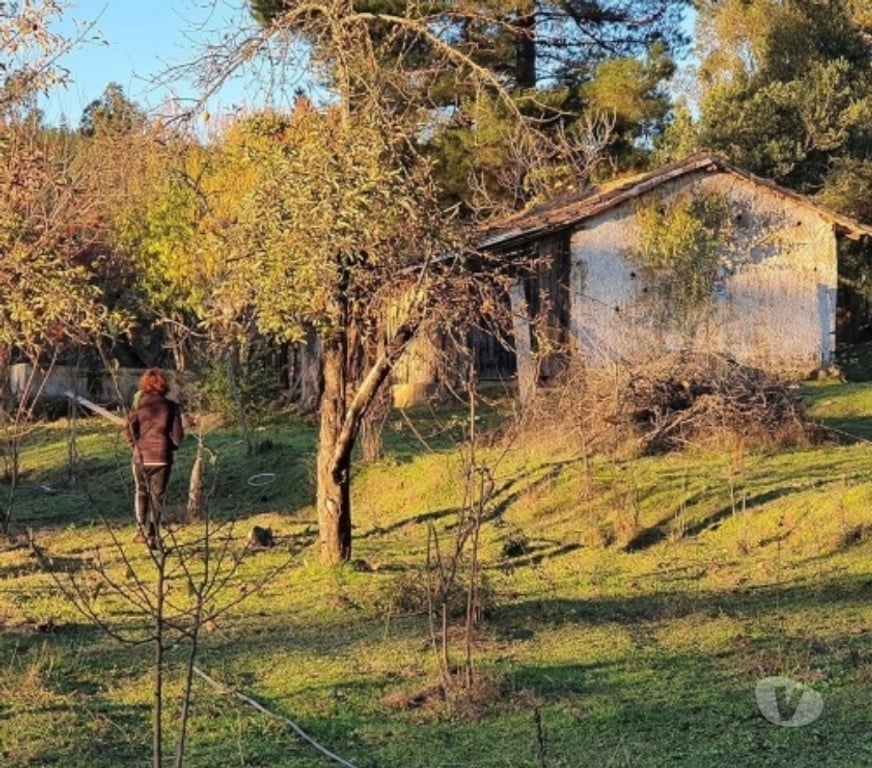 Parcelas en Venta Talca Curepto - Fotos de CUREPTO VENTA PARCELA 50.000 MTS2 CASA 4D 4B GUALLECO