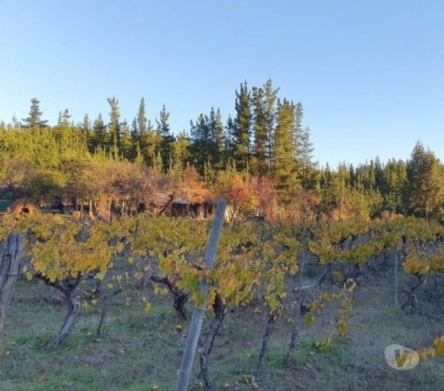 Parcelas en Venta Talca Curepto - Fotos de CUREPTO VENTA PARCELA 50.000 MTS2 CASA 4D 4B GUALLECO