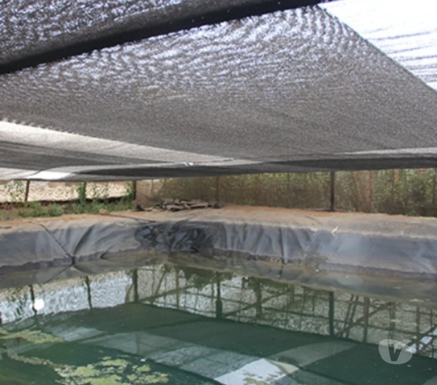 Parcelas en Venta Quillota Limache - Fotos de LIMACHE VENTA PARCELA 26.000 MTS2 CASA 300 MTS2 6D 6B FUND