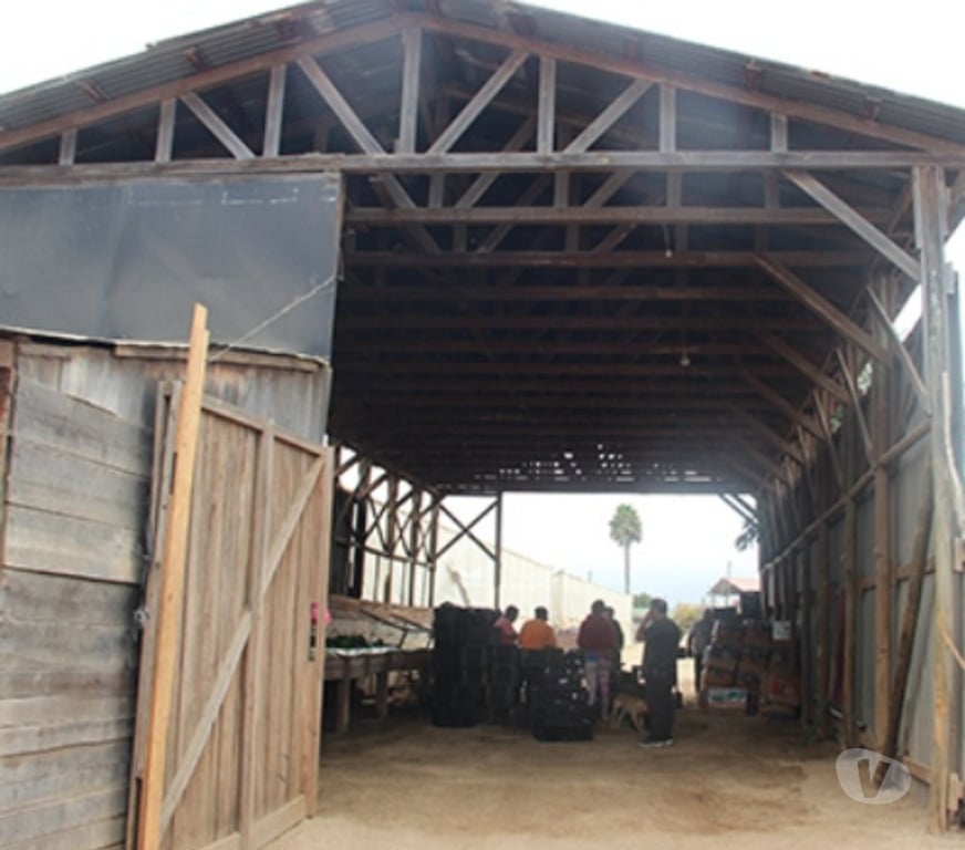 Parcelas en Venta Quillota Limache - Fotos de LIMACHE VENTA PARCELA 26.000 MTS2 CASA 300 MTS2 6D 6B FUND