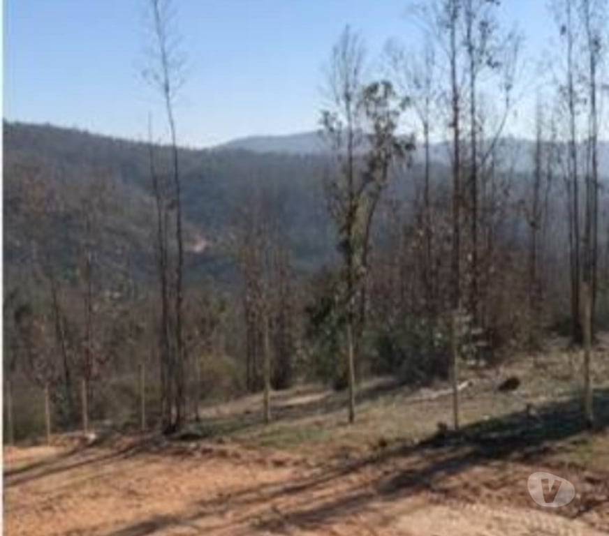 Parcelas en Venta Quillota Limache - Fotos de LIMACHE VENTA PARCELA 5.500 MTS2 CASA 3D 1B MEDITERRANEA