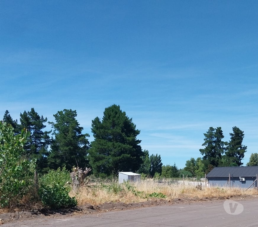 Parcelas en Venta Bío-Bío Yumbel - Fotos de Terreno 1000 mtr2