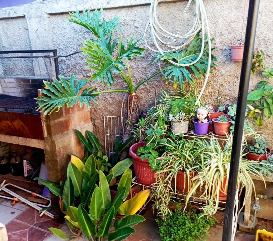 Bienes Raices Valparaíso Quilpué - Fotos de CASA INDEPENDIENTE DE UN PISO BELLOTO CENTRO