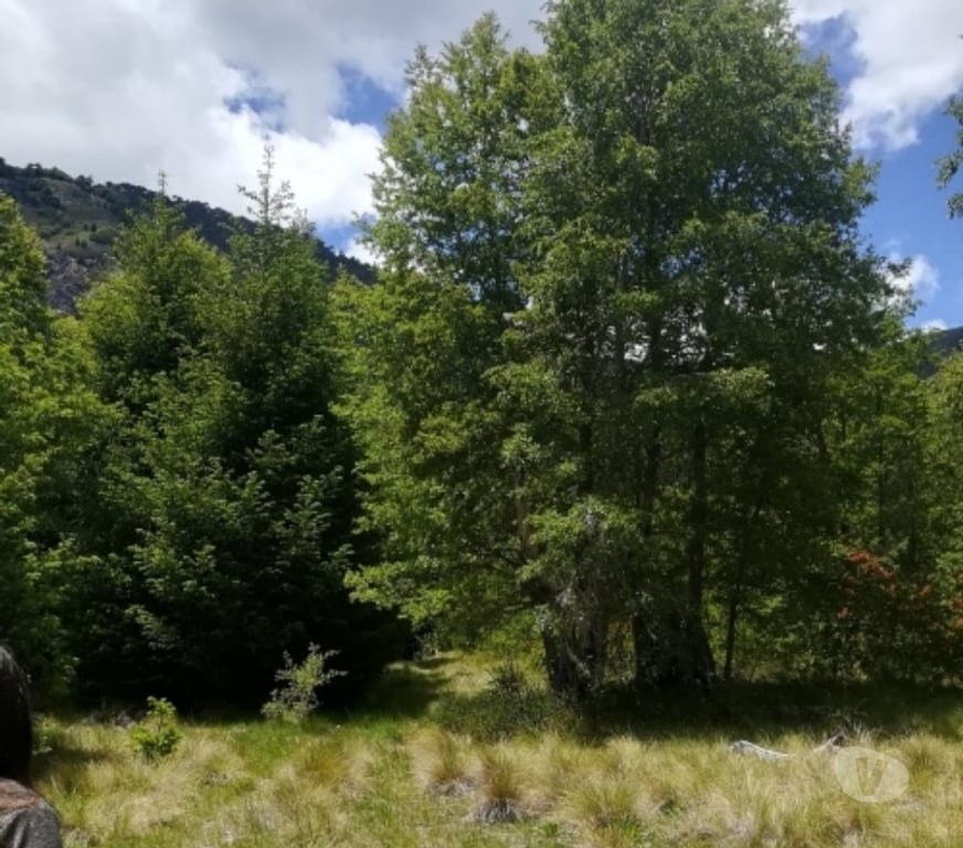 Parcelas en Venta Cautín Pucón - Fotos de PUCON VENTA PARCELA 5.000 MTS2 APP PARAISO ESCONDIDO