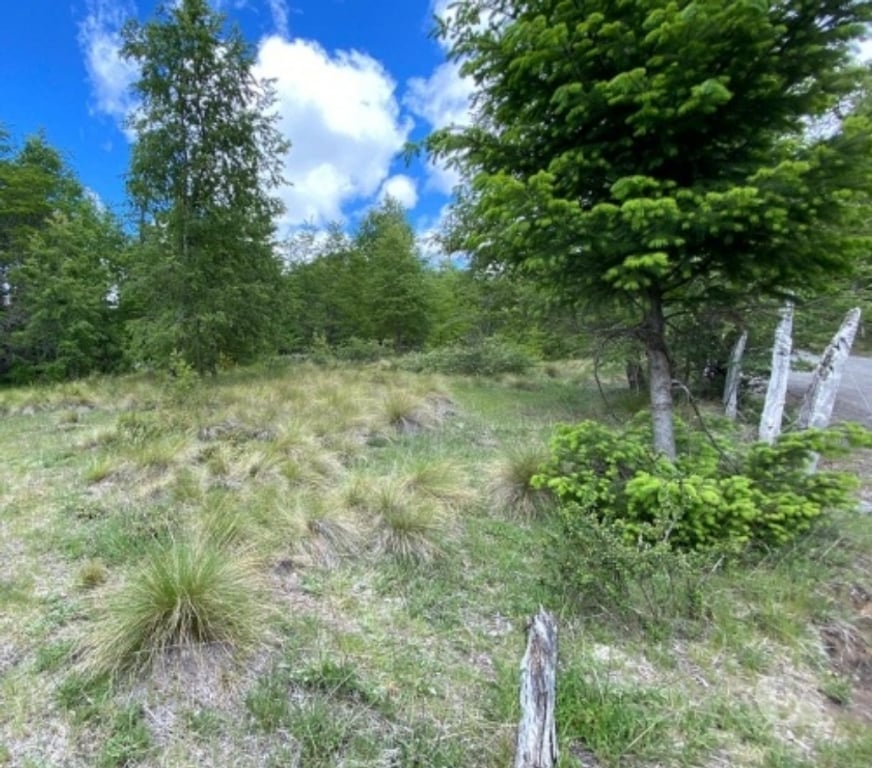 Parcelas en Venta Cautín Pucón - Fotos de PUCON VENTA PARCELA 5.000 MTS2 APP PARAISO ESCONDIDO