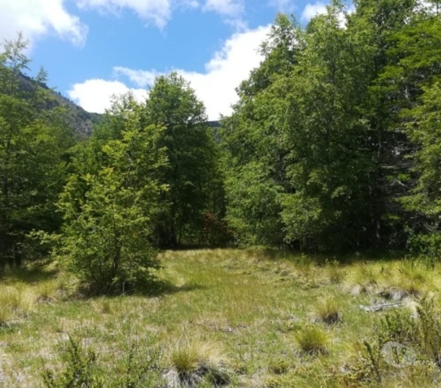 Parcelas en Venta Cautín Pucón - Fotos de PUCON VENTA PARCELA 5.000 MTS2 APP PARAISO ESCONDIDO