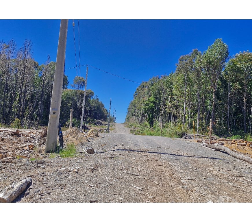 Bienes Raices Llanquihue Puerto Montt - Fotos de OFERTA, PARCELAS, ALERCES DE LAUCA, PUERTO MONTT