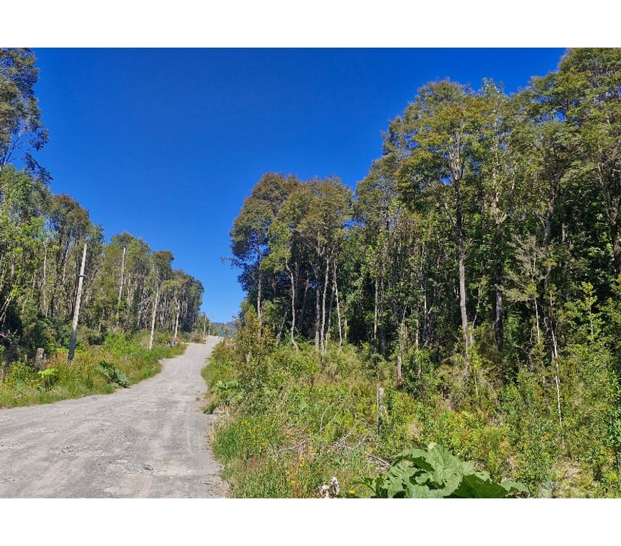 Bienes Raices Llanquihue Puerto Montt - Fotos de OFERTA, PARCELAS, ALERCES DE LAUCA, PUERTO MONTT