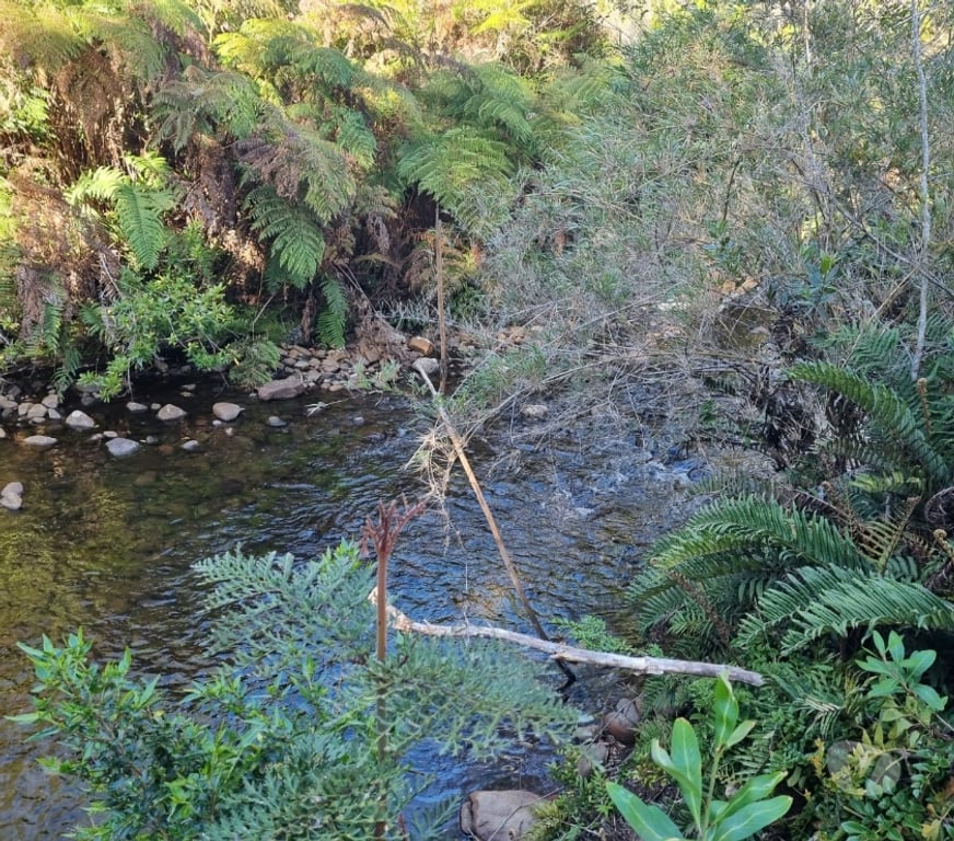 Bienes Raices Llanquihue Puerto Montt - Fotos de OFERTA, PARCELAS, ALERCES DE LAUCA, PUERTO MONTT