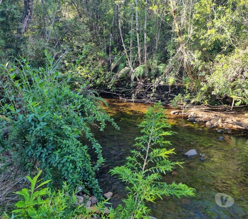 Bienes Raices Llanquihue Puerto Montt - Fotos de OFERTA, PARCELAS, ALERCES DE LAUCA, PUERTO MONTT