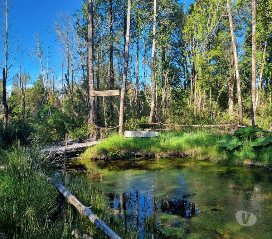 Bienes Raices Llanquihue Puerto Montt - Fotos de OFERTA, PARCELAS, ALERCES DE LAUCA, PUERTO MONTT