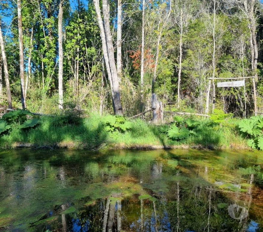 Bienes Raices Llanquihue Puerto Montt - Fotos de OFERTA, PARCELAS, ALERCES DE LAUCA, PUERTO MONTT