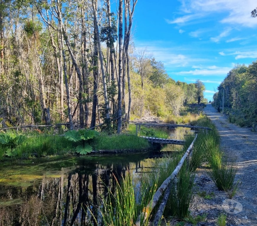 Bienes Raices Llanquihue Puerto Montt - Fotos de OFERTA, PARCELAS, ALERCES DE LAUCA, PUERTO MONTT
