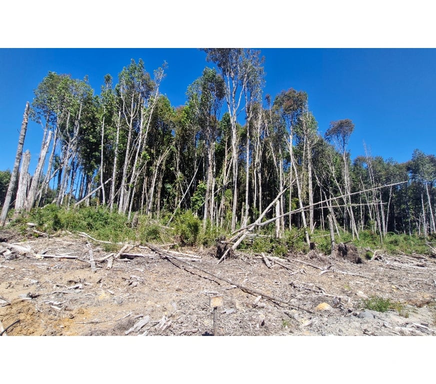 Bienes Raices Llanquihue Puerto Montt - Fotos de OFERTA, PARCELAS, ALERCES DE LAUCA, PUERTO MONTT