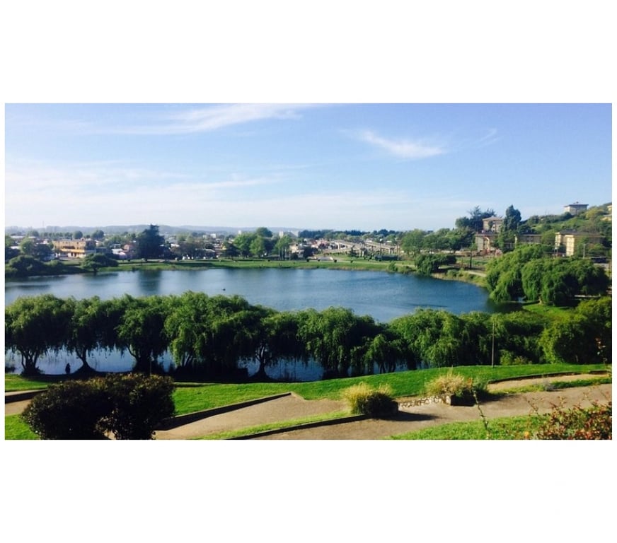 Arriendos Concepción Concepción - Fotos de Arriendo Depto 1 Dormitorio Av 21 De Mayo