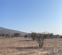 Fotos de QUILLOTA VENTA PARCELA 12.000 MTS2 APTA PROYECTOS INMOBILI