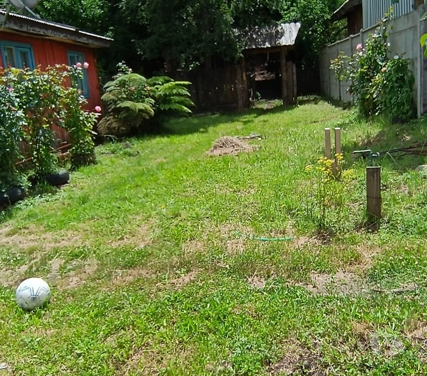 Bienes Raices Valdivia Panguipulli - Fotos de Se vende Casa en el corazón de Huilo Huilo