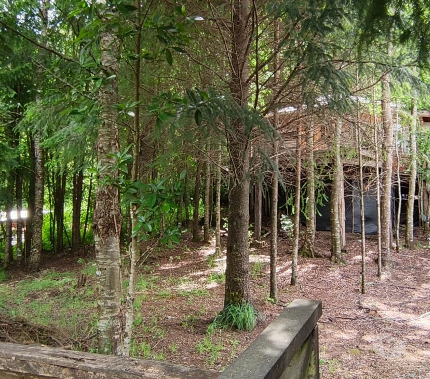 Bienes Raices Valdivia Panguipulli - Fotos de Se vende Casa en el corazón de Huilo Huilo