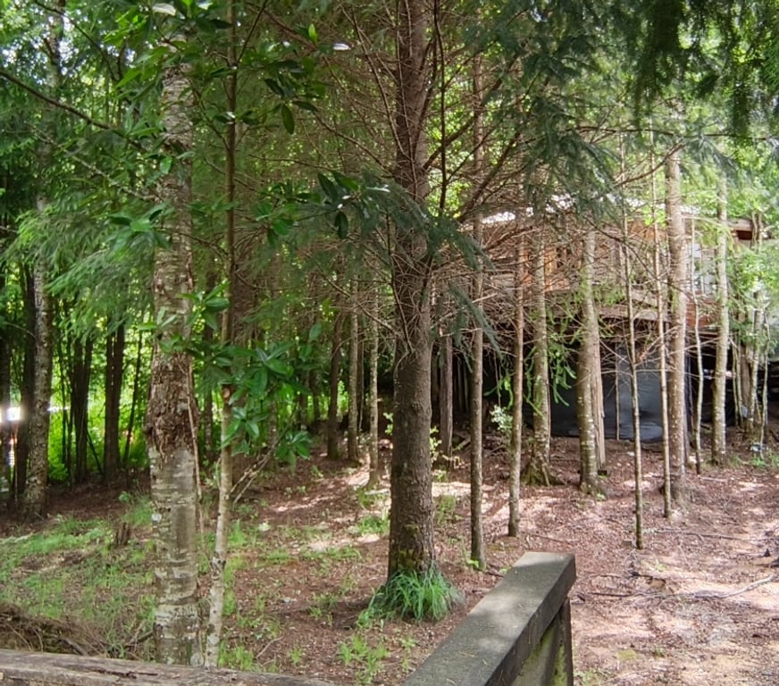 Bienes Raices Valdivia Panguipulli - Fotos de Se vende Casa en el corazón de Huilo Huilo