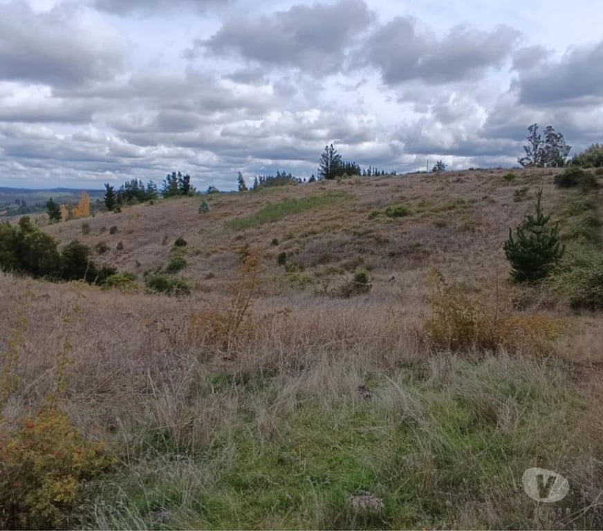 Parcelas en Venta Concepción Florida - Fotos de Parcelas en sector Peninhueque, Florida