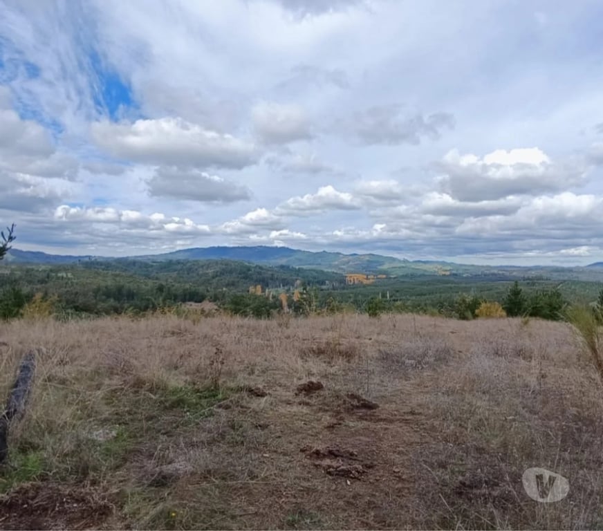 Parcelas en Venta Concepción Florida - Fotos de Parcelas en sector Peninhueque, Florida