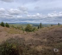 Parcelas en sector Peninhueque, Florida