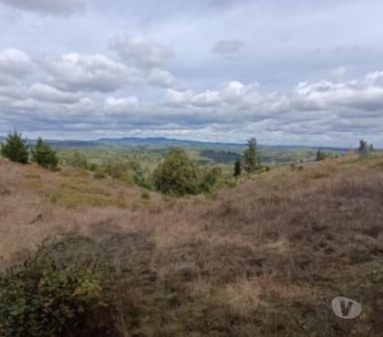 Parcelas Florida Concepción - Fotos de Parcelas en sector Peninhueque, Florida