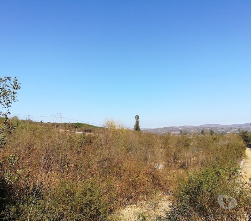 Parcelas en Venta Quillota Limache - Fotos de PARCELA CAMINO LOS LAURELES, LIMACHE