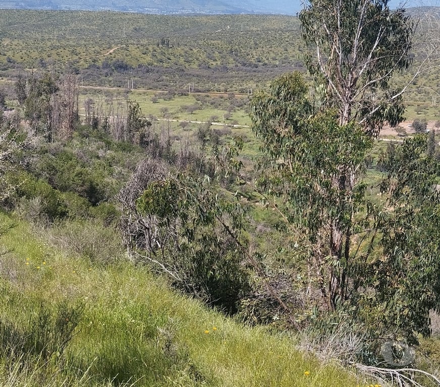 Parcelas en Venta Quillota Limache - Fotos de PARCELA EN CAJON DEL LEBU LIMACHE